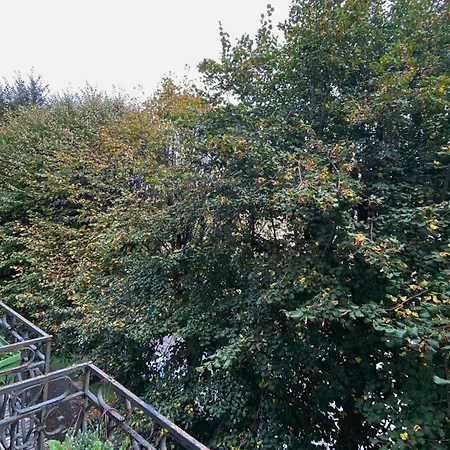 Le Sidonie Bagnères-de-Luchon