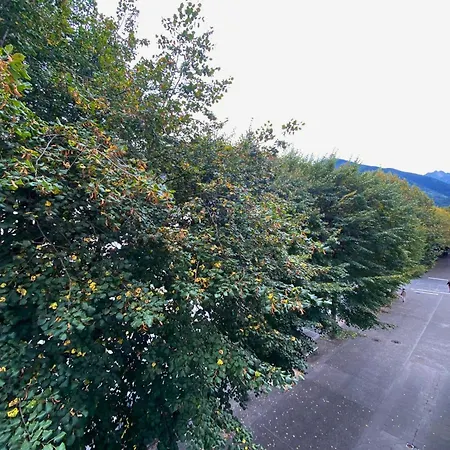 Le Sidonie Appartement *